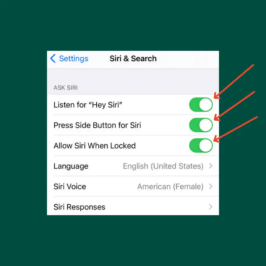 enable siri on iPhone