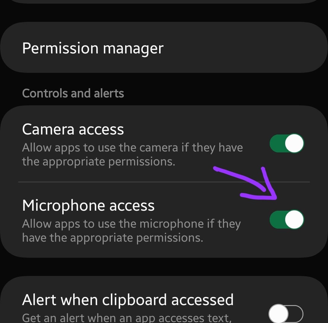 enable microphone access